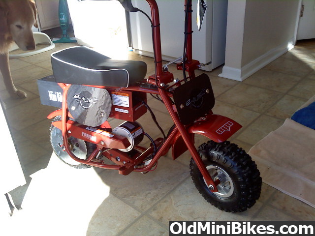 $100 mini bike