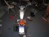 kikkerupdate 011.jpg