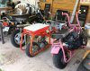 minis on the garage porch 5-12-19.JPG