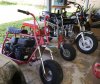 minis on the garage porch too 5-12-19.JPG