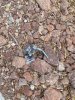 IMG_3688.jpeg