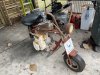 IMG_3128.jpeg