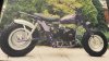 IMG_7980 2.jpeg