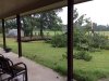 tree down a.jpg