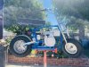 IMG_8514.jpeg