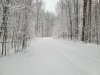 20250316_110051.jpg