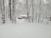 20250316_110054.jpg