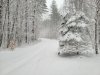 20250316_110046.jpg
