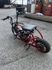 IMG_2491.jpeg