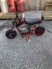 IMG_2880.jpeg