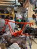 Fox Street Scamp 3.jpg