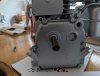 PXL_20250703_205919972.jpg