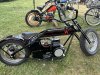 IMG_7450.jpeg