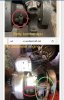 IMG_6141.jpeg