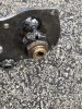 IMG_6681.jpeg