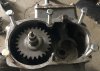 IMG_6741.jpeg