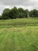 IMG_7181.jpeg
