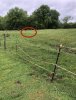 IMG_7182.jpeg