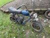 IMG_8503.jpeg