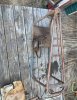 FB_IMG_1780023162117.jpg