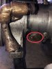 IMG_7330.jpeg