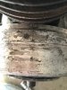 IMG_7343.jpeg