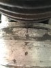 IMG_7344.jpeg
