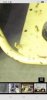 Screenshot_20260531_100431_Edge.jpg