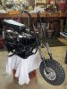 IMG_3717.jpeg
