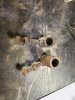 IMG_8830.jpeg