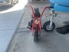 IMG_0217.jpeg