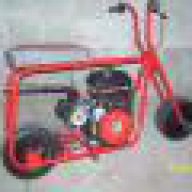 animal_racer