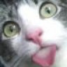 RudeKitty