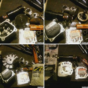 Gasser Build.