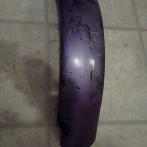 Rupp_rear_fender1
