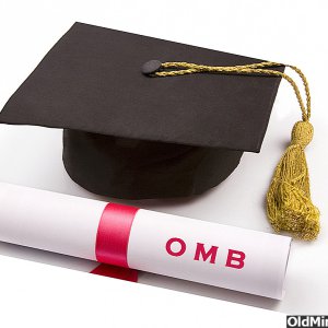 OldMiniBikes Diploma