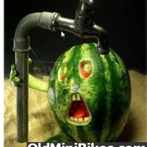funny-watermelon-pictures