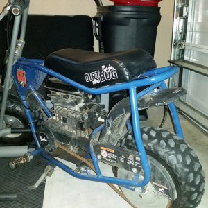My first minibike (at 42 years old!)