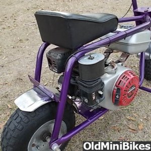Stellar Minibike for Sale