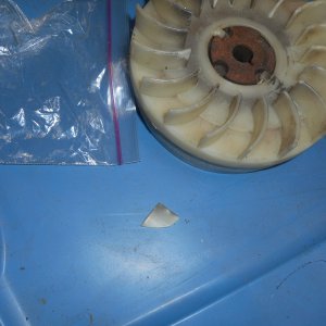 DSCN0385_1_