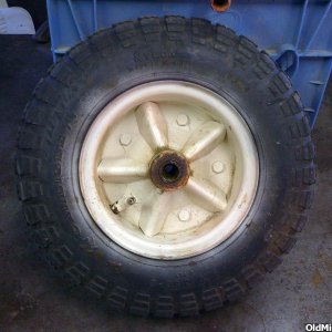 cat wheel
