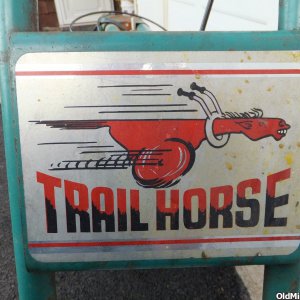 Trail Horse