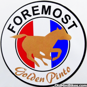 Foremost Golden Pinto