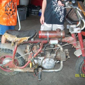 honda, not sure what type, z50? please help!!