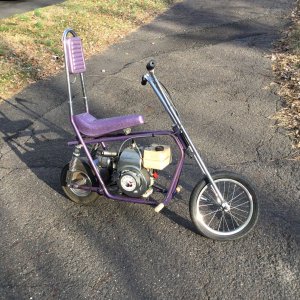 Alexander Reynolds EZ Rider