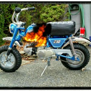 1973 z50 hot bike