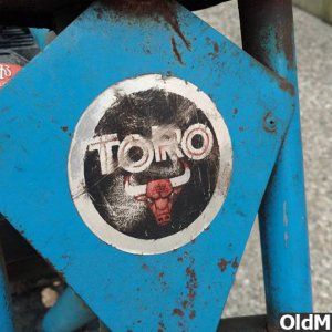 Toro_3