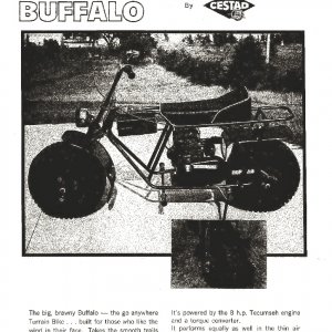 Buffalo CS-3081A Brochure