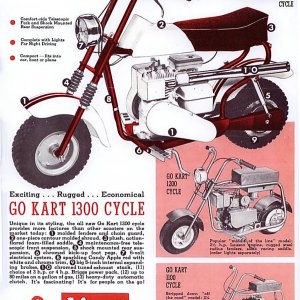 Go Kart 1300 Cycle • Go Kart 1200 Cycle • Go Kart 1100 Cycle Brochure