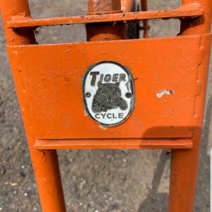 Tiger .jpg